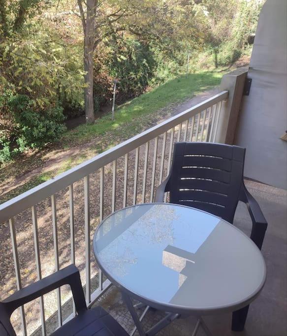 T 1 avec terrasse face rivière à 1 min des thermes - 5