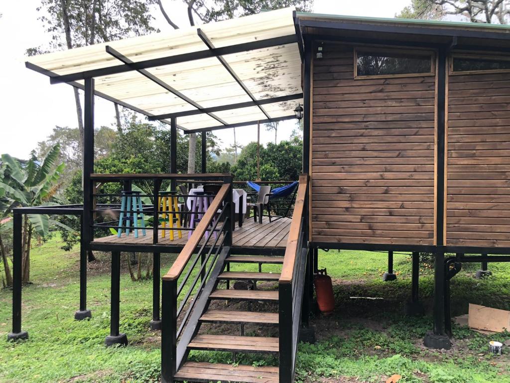 Cabaña tipo glamping en finca cafetera con zonas verdes, avistamiento de aves, paisaje cafetero - 5