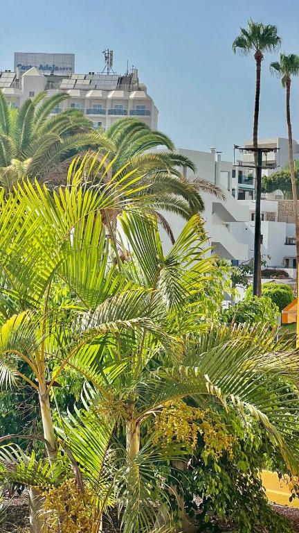 Ocean view apartment in Orlando, Adeje