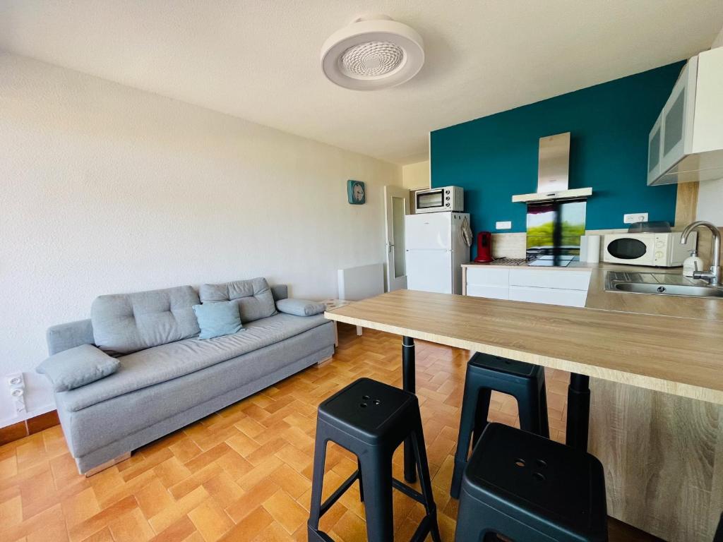 T2 Vue Mer, Parking Privé, St-Cyprien Plage - FR-1-309-478 - 5