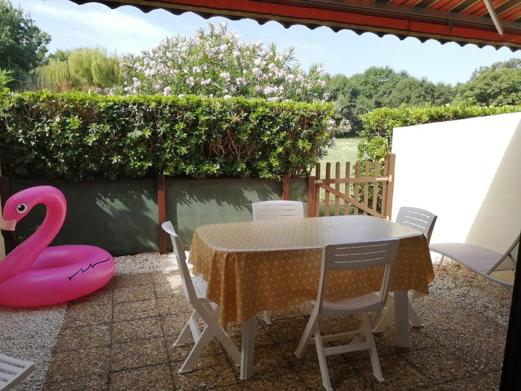 Studio rénové avec piscine et tennis, à 500m de la plage, pour 4 pers, à Argelès-sur-Mer - FR-1-776-106 - 1
