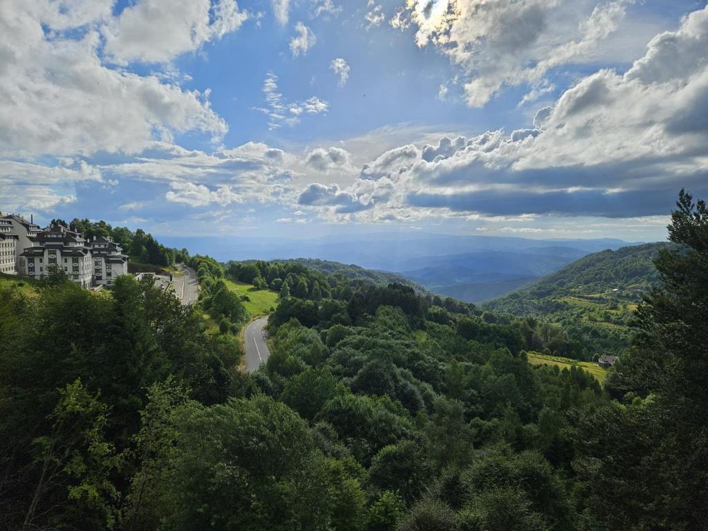 Apartman L53 Milmari Kopaonik - 5