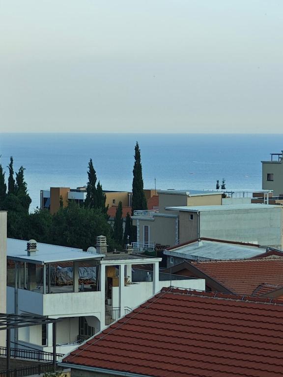 Vila Varagic - 4