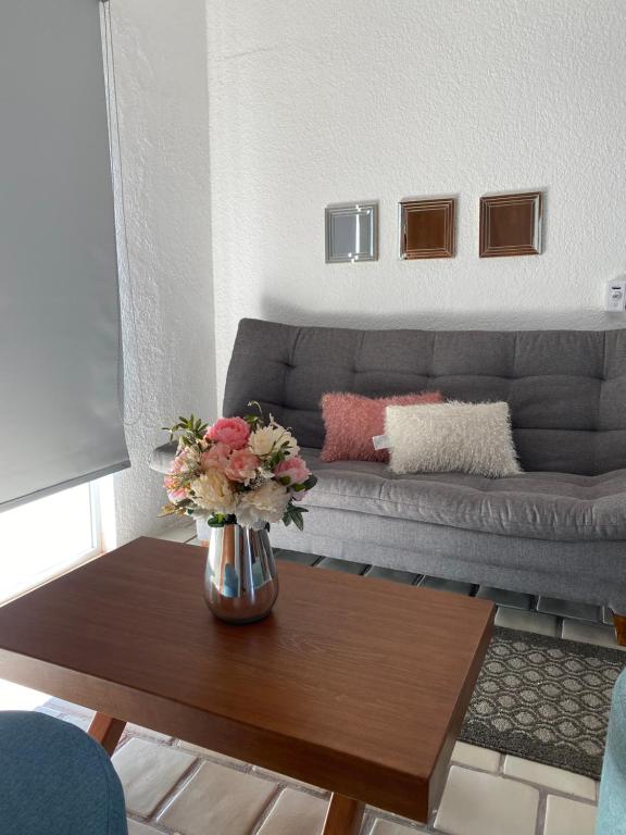 Depa BN 06, Barra de Navidad