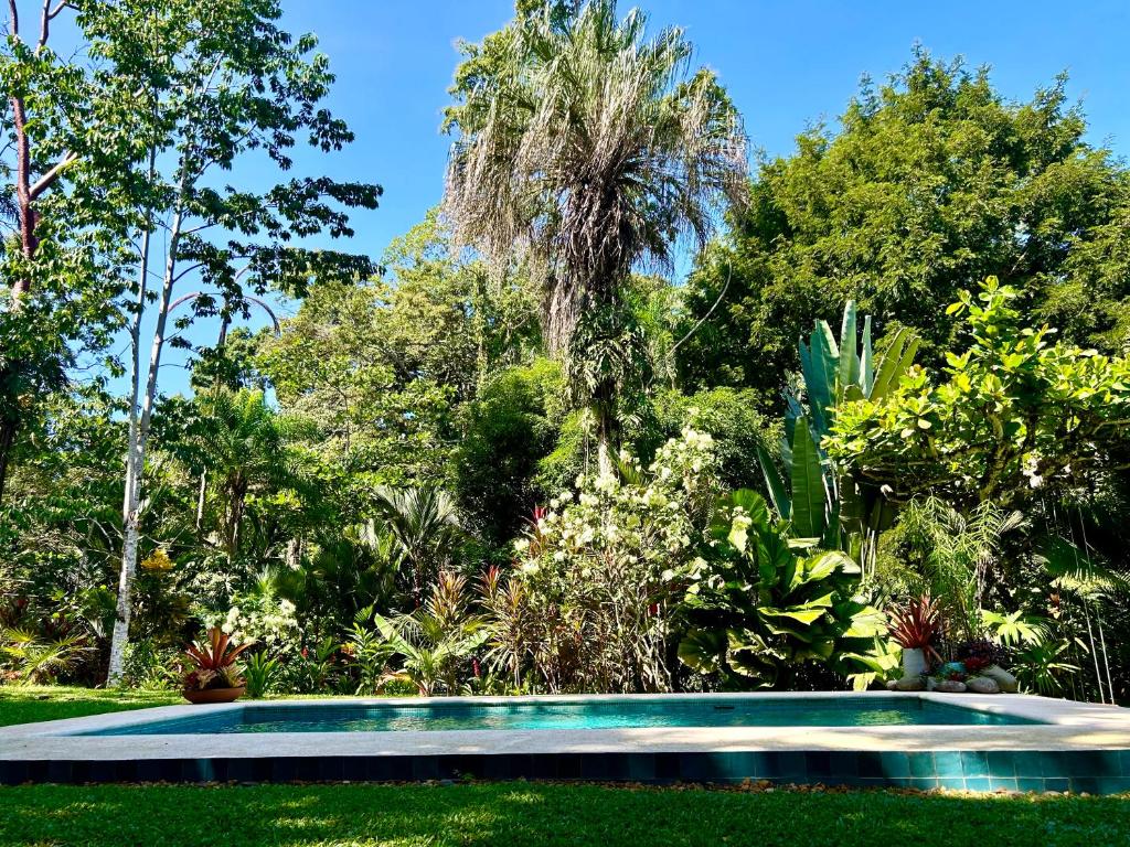 Ginger and Cacao, Luxury Villas and Cottage with Pool and Ocean Views, Puerto Viejo