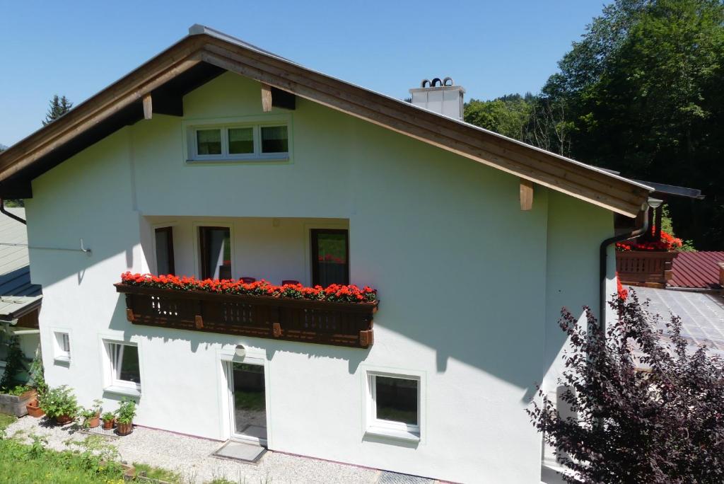 Ferienwohnungen Haus Kunterbunt - 5