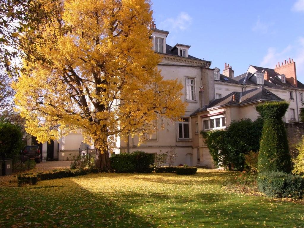 A l'abri du Ginkgo - 2