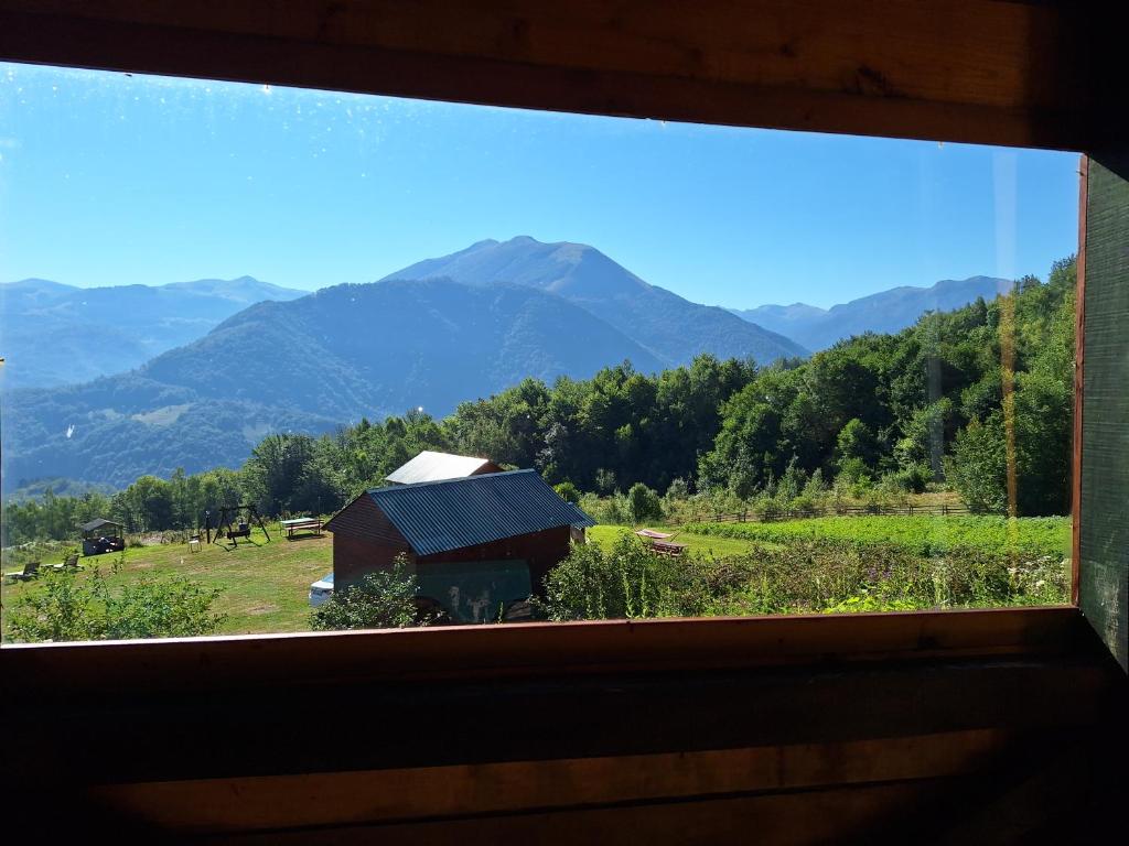 Surrounding environment