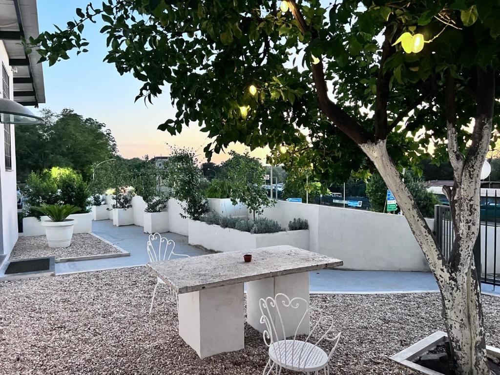 lemon suites - 5
