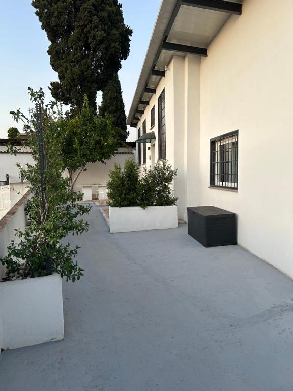 lemon suites - 4