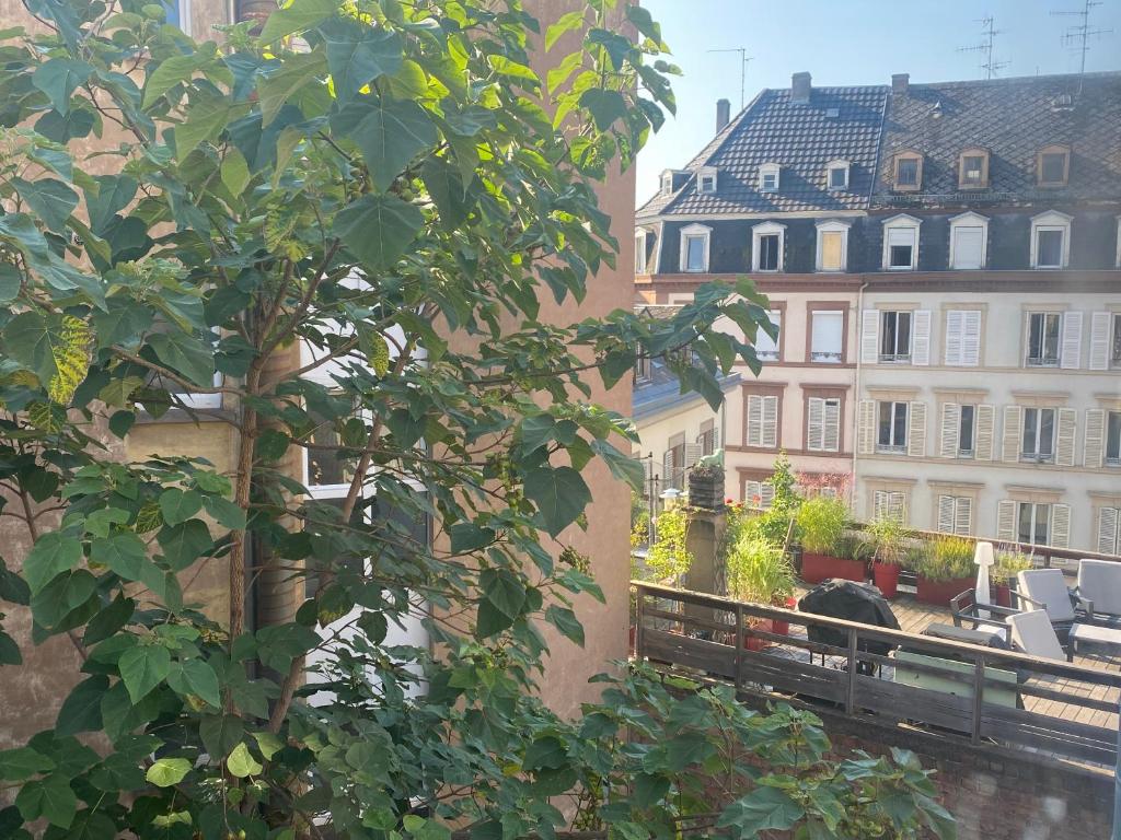 La Petite Auberge de Strasbourg - 4