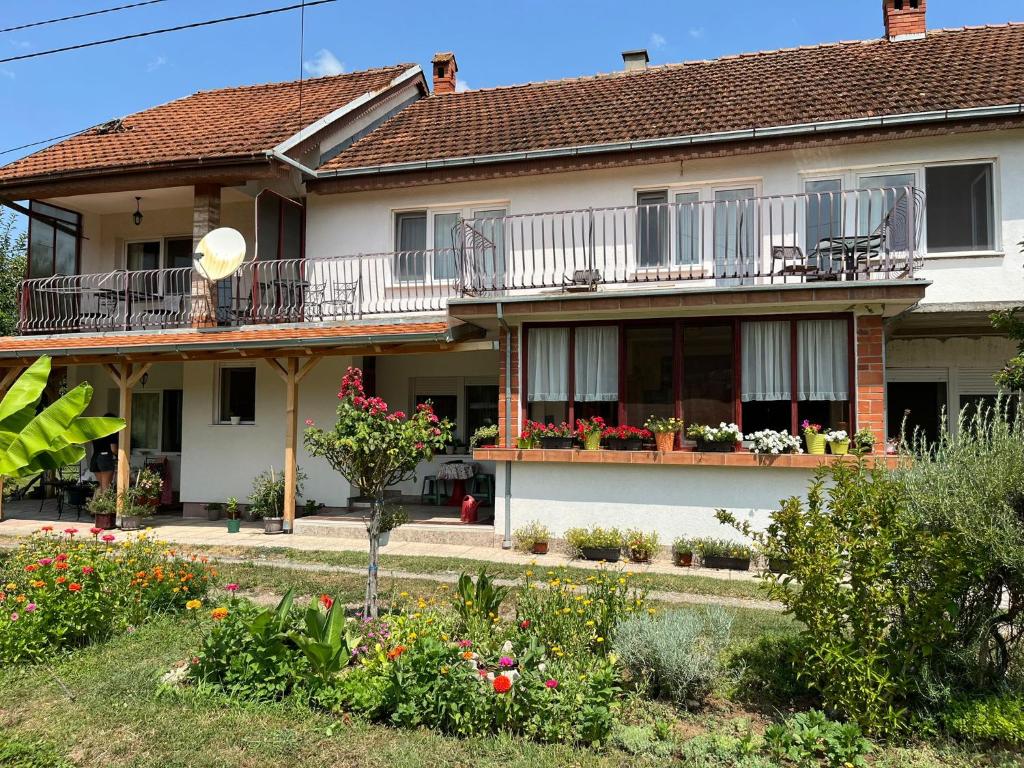 Apartmani Simonovic - 4