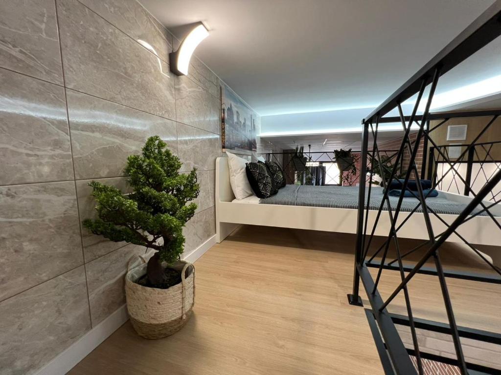 Carcaixent 24 - 4