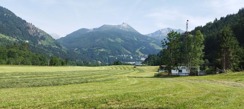 Bio Bauernhof Schweizerhof - 3
