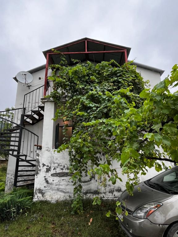 House in the Riverside, İsmayıllı