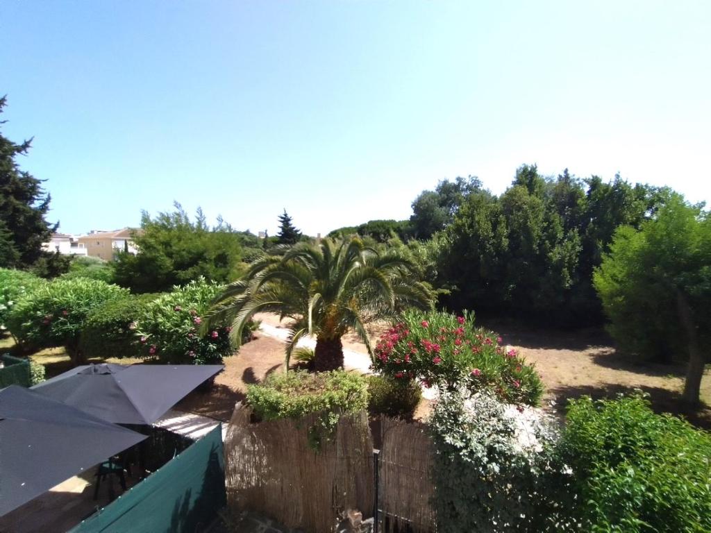 T2 MARINE Le LAVANDOU - 2