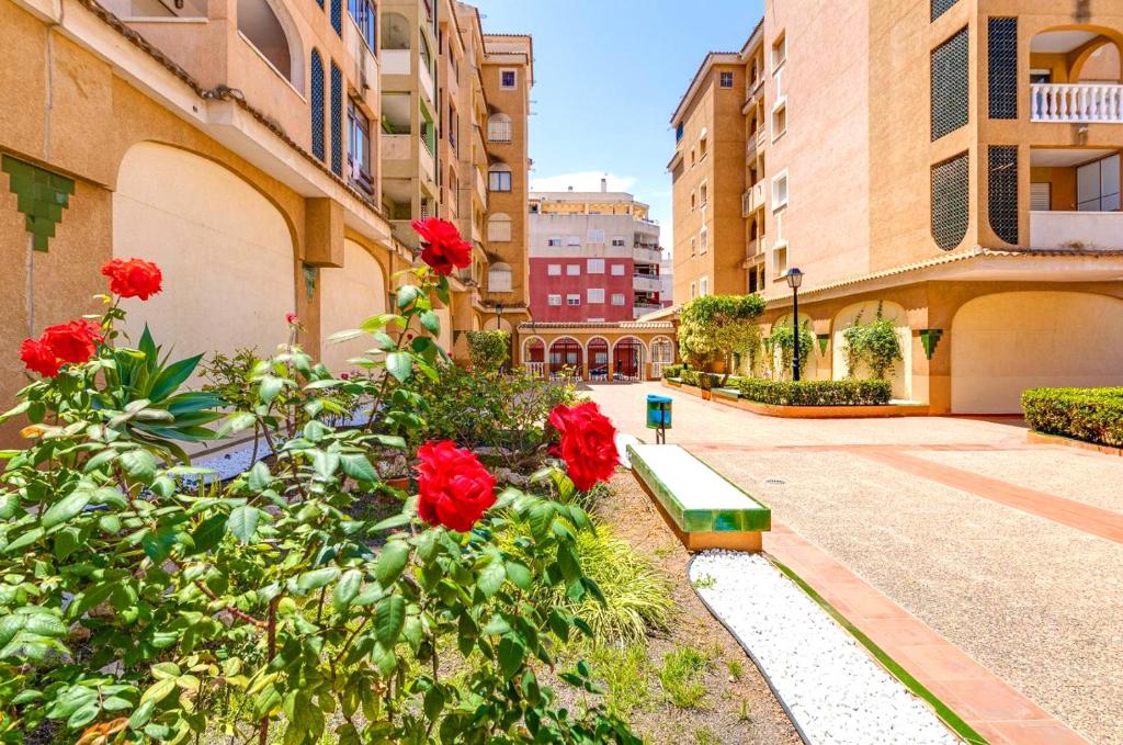 Sunny Apartment in Torrevieja - 4