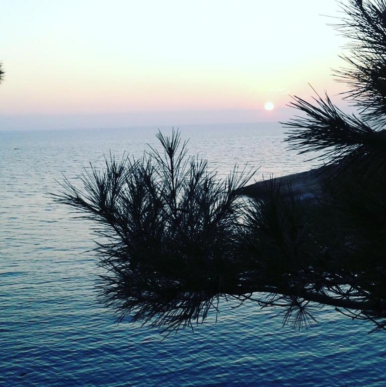 Surrounding environment