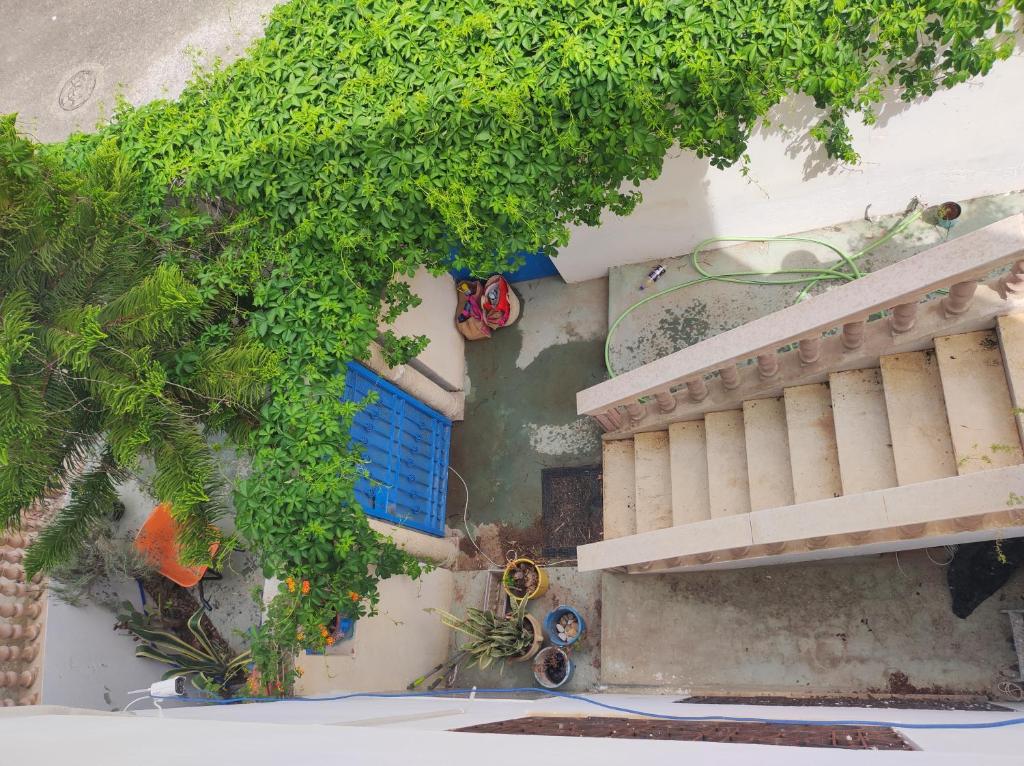 Olivier 2, Potinville