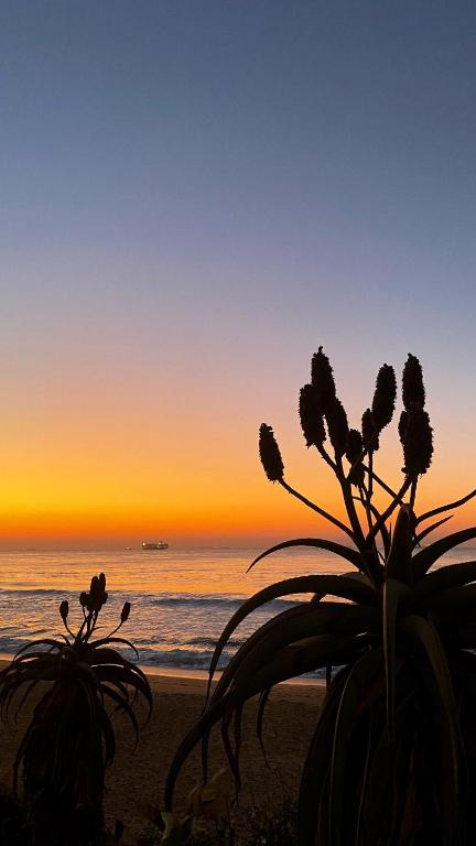 Seaside Serenity, Durban