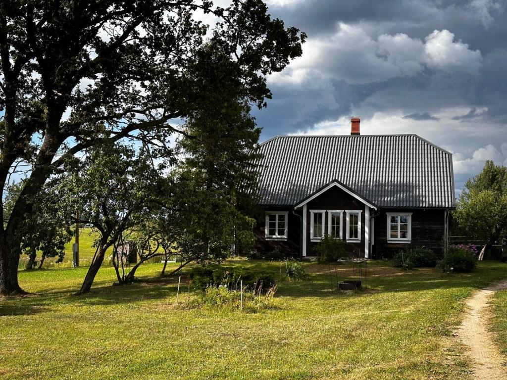 Drusti meadow, Drusti