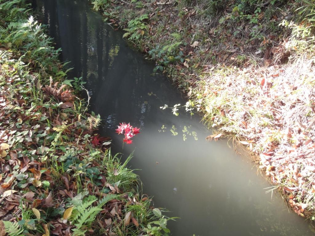 Facilities, Minpaku Hiraizumi in Hiraizumi