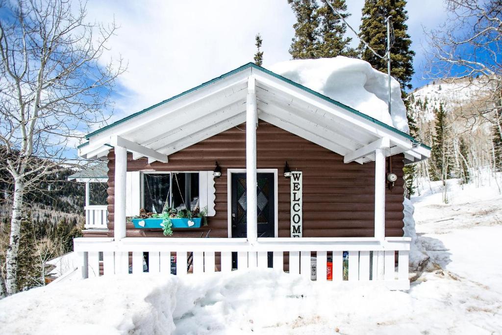 Whispering Pines, Brighton