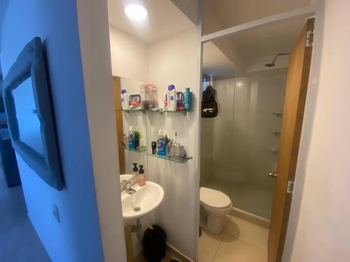 apartamento ruiseñor 2 - 2