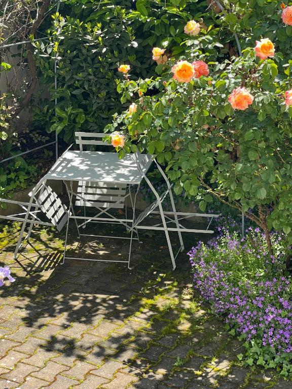 L'Ecrin Sainte Cécile 1- Elegance, Espace et jardin partagé - 2