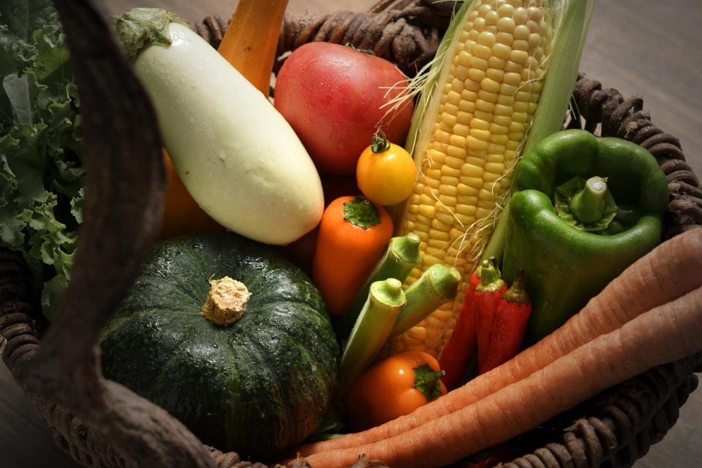 Essen und Erfrischungen