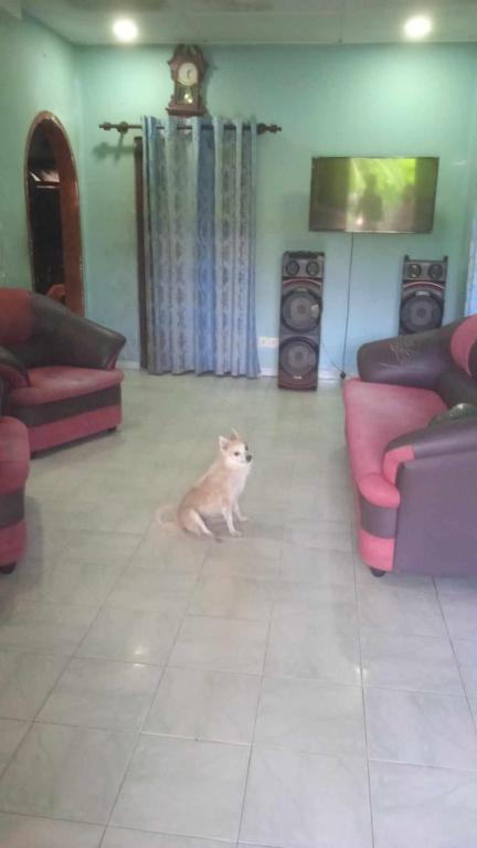 House for rent, Ahangama