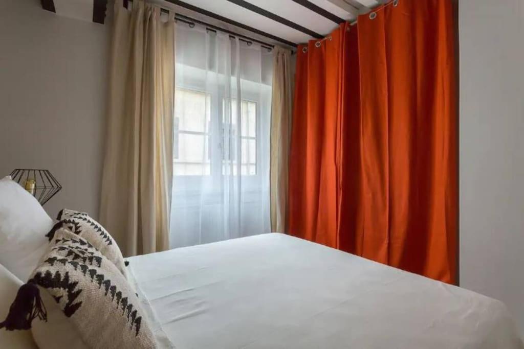 Canut authentique et design, deux chambres, Lyon 1 - 2
