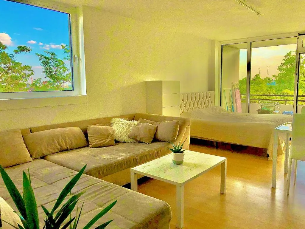 Schönes 1 Zimmer Apartment, Hotel in Wiesbaden