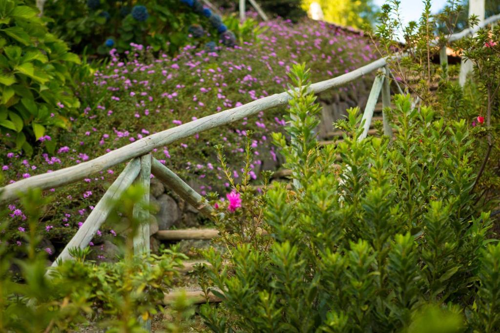 Atrio — Attractions in the area in Calheta, Madeira