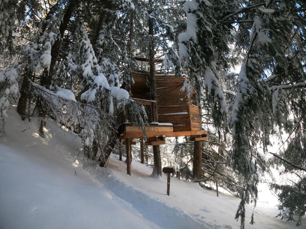 Cabane dans les Arbres de Valmo'Insolite - 4