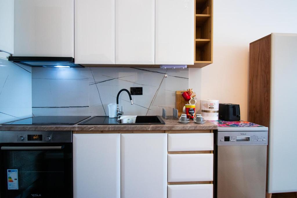 Vracar Lovely Apartment - 4