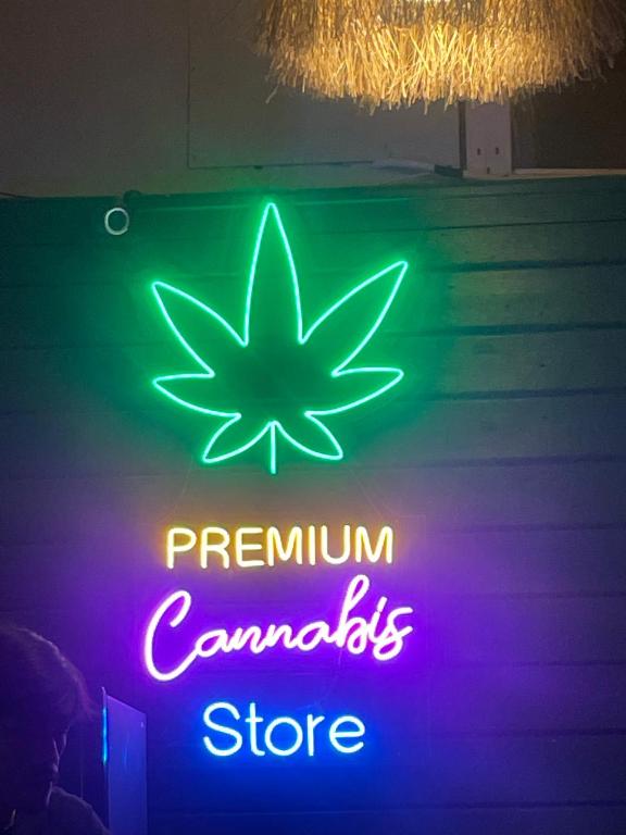 Noah’s Ark Cannabis Bar Restaurant Hostel