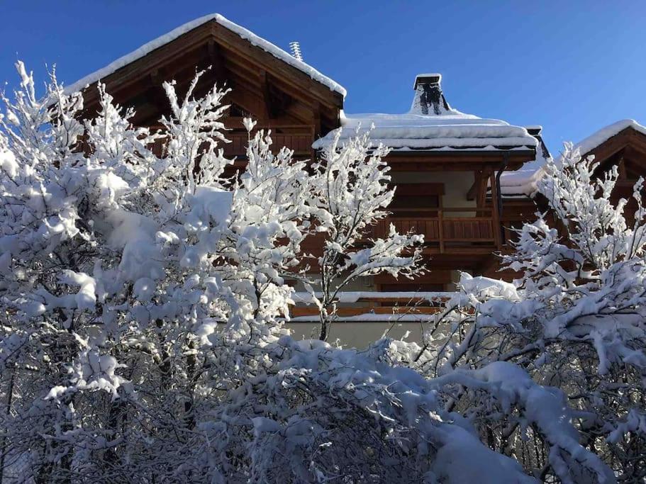 F3 de standing dans chalet en pied de pistes - 4