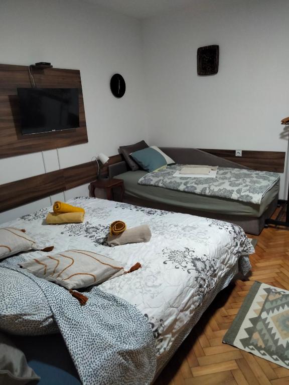 Apartment studio Ignjatovic - 5