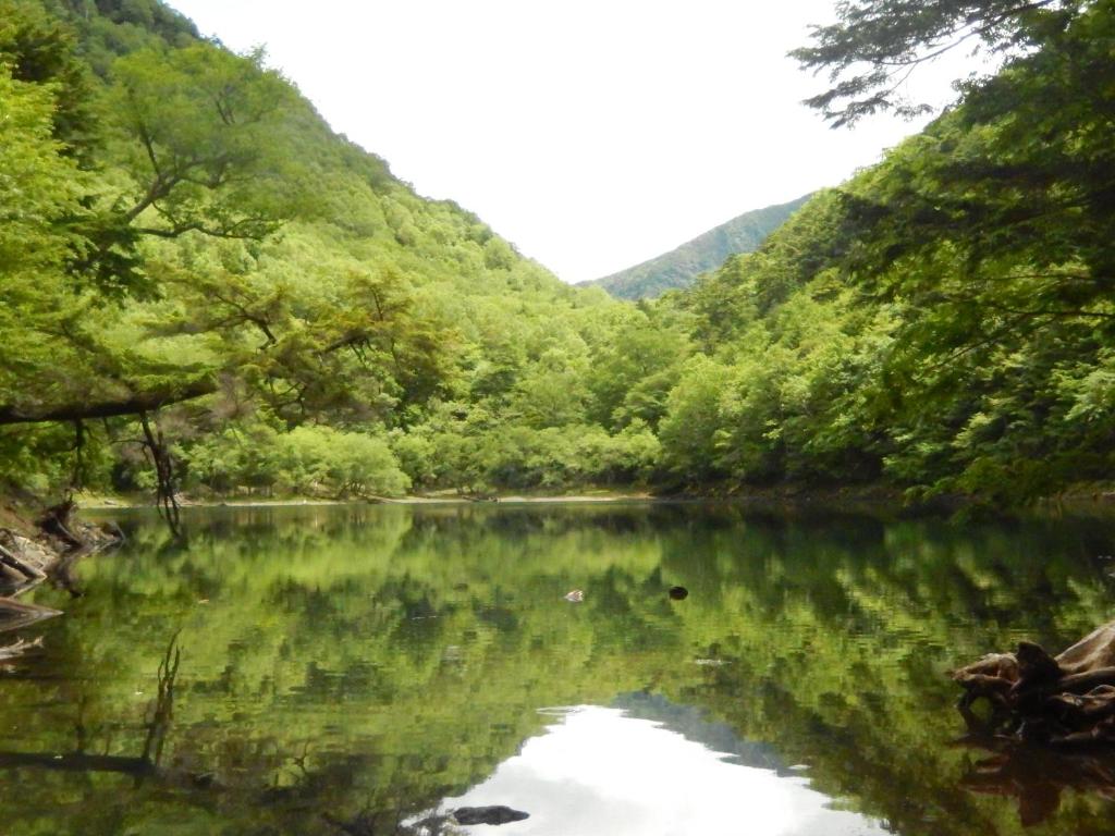 Surrounding environment