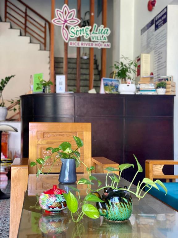 会安稻河别墅酒店 (Rice River Villa - Hoi An)