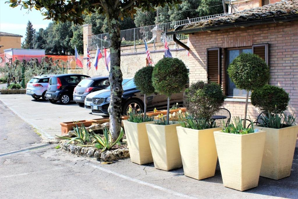 Hotel Porta Romana - LuceHotels - 4