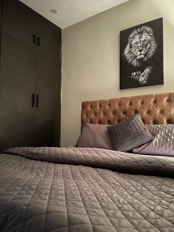 AR Consultant, Rávalpindí