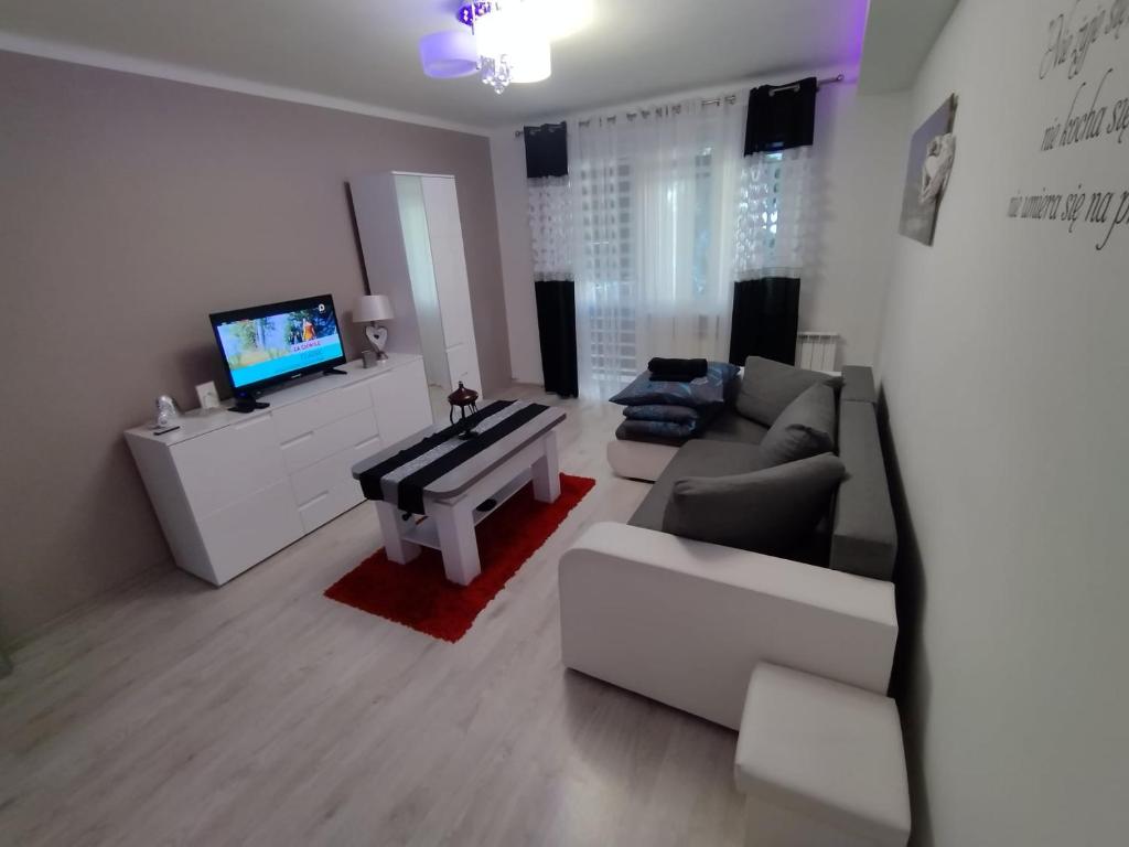Apartament Premium, Přemyšl