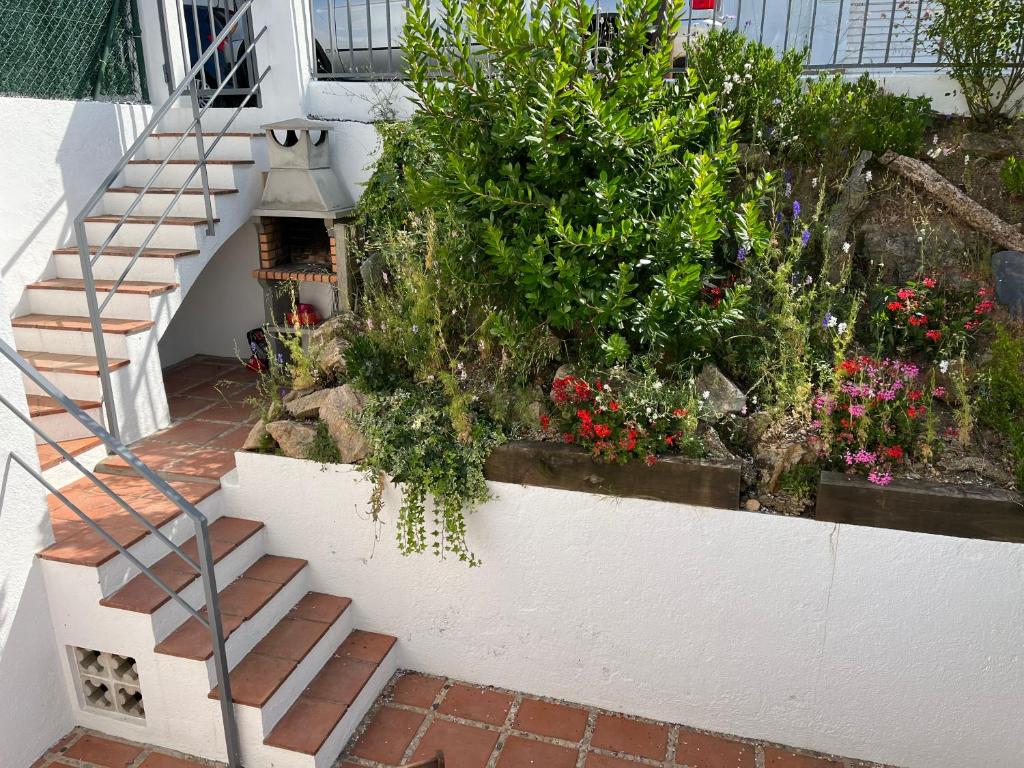 Sea views HOUSE - Mirador del Codolar - 4