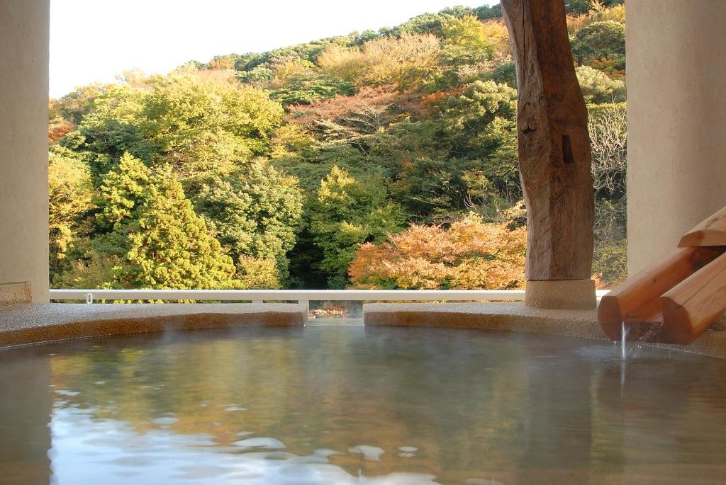 Hot spring bath