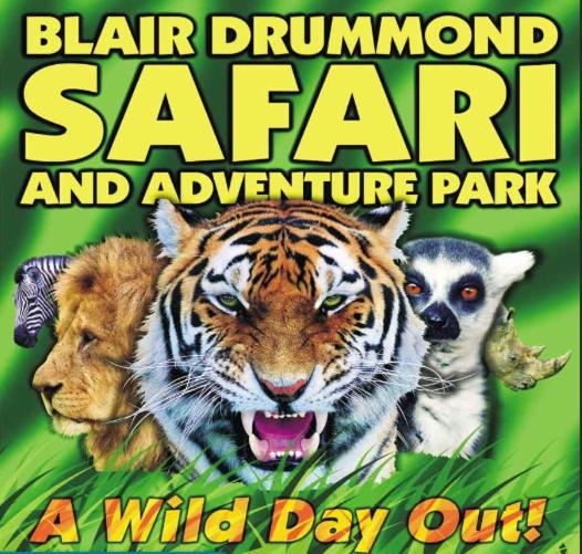 周辺観光スポット