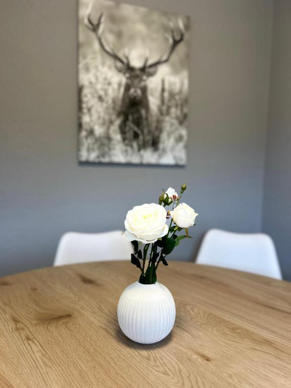 Seeblick 7, Zell am See