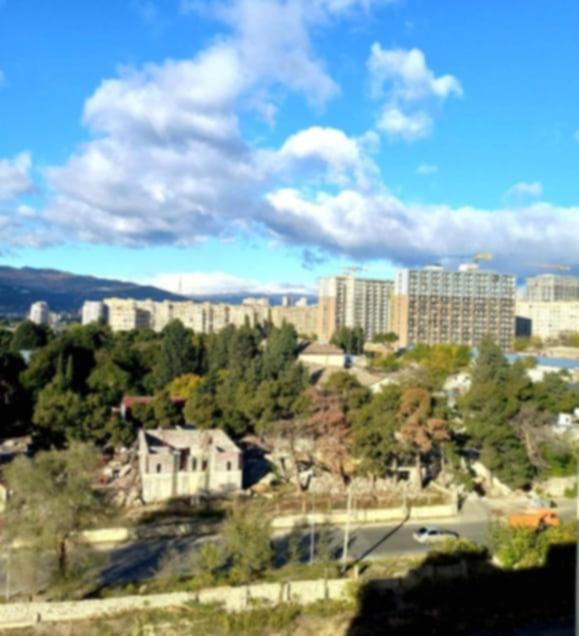 Renting a flat, Tbilisi