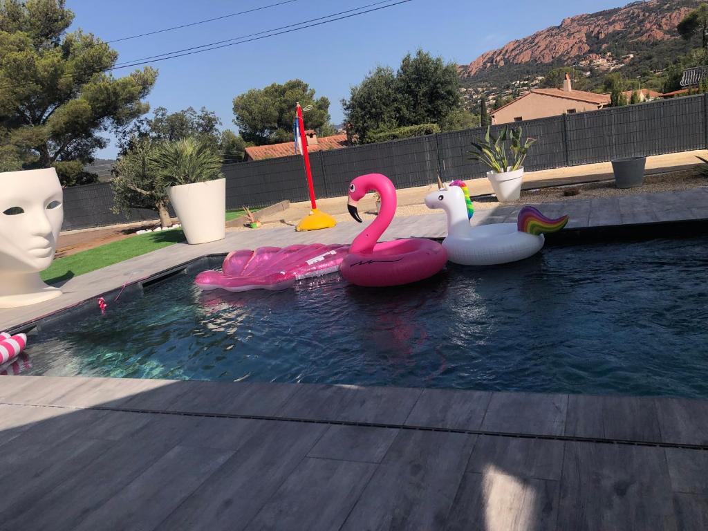 Maison avec piscine - 3